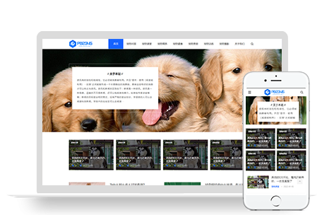PBOOTCMS响应式宠物资讯个人博客创业经验类网站模板源码【自适应手机端】