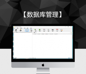 【数据库管理】N11数据库管理