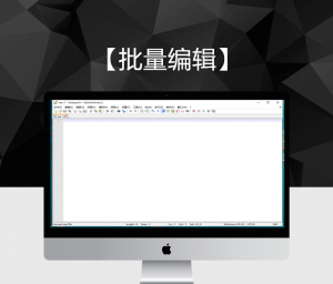 【N++文本编辑】