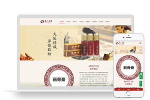 PBOOTCMS响应式中医保健网站模板针灸类源码【自适应手机端】